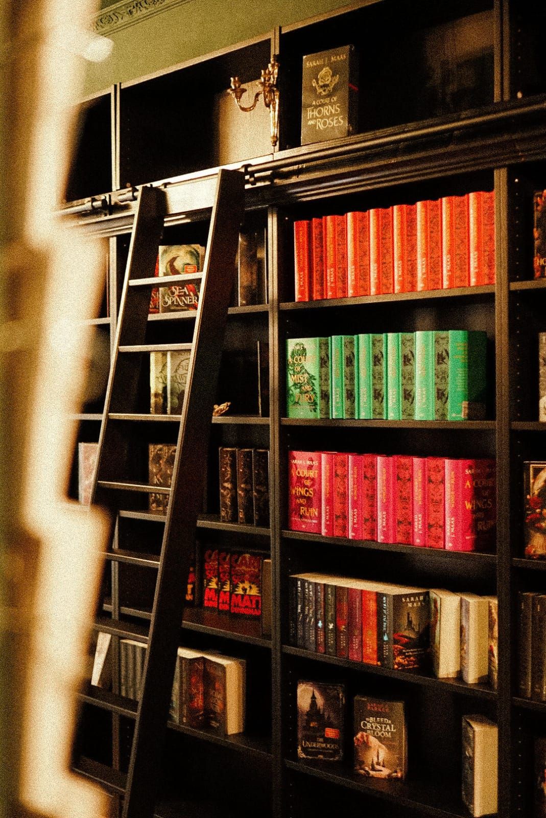 Hohe schwarze Bücherregale mit Leiter, gefüllt mit farbigen Sarah J. Maas-Ausgaben in Rot, Grün und Pink
